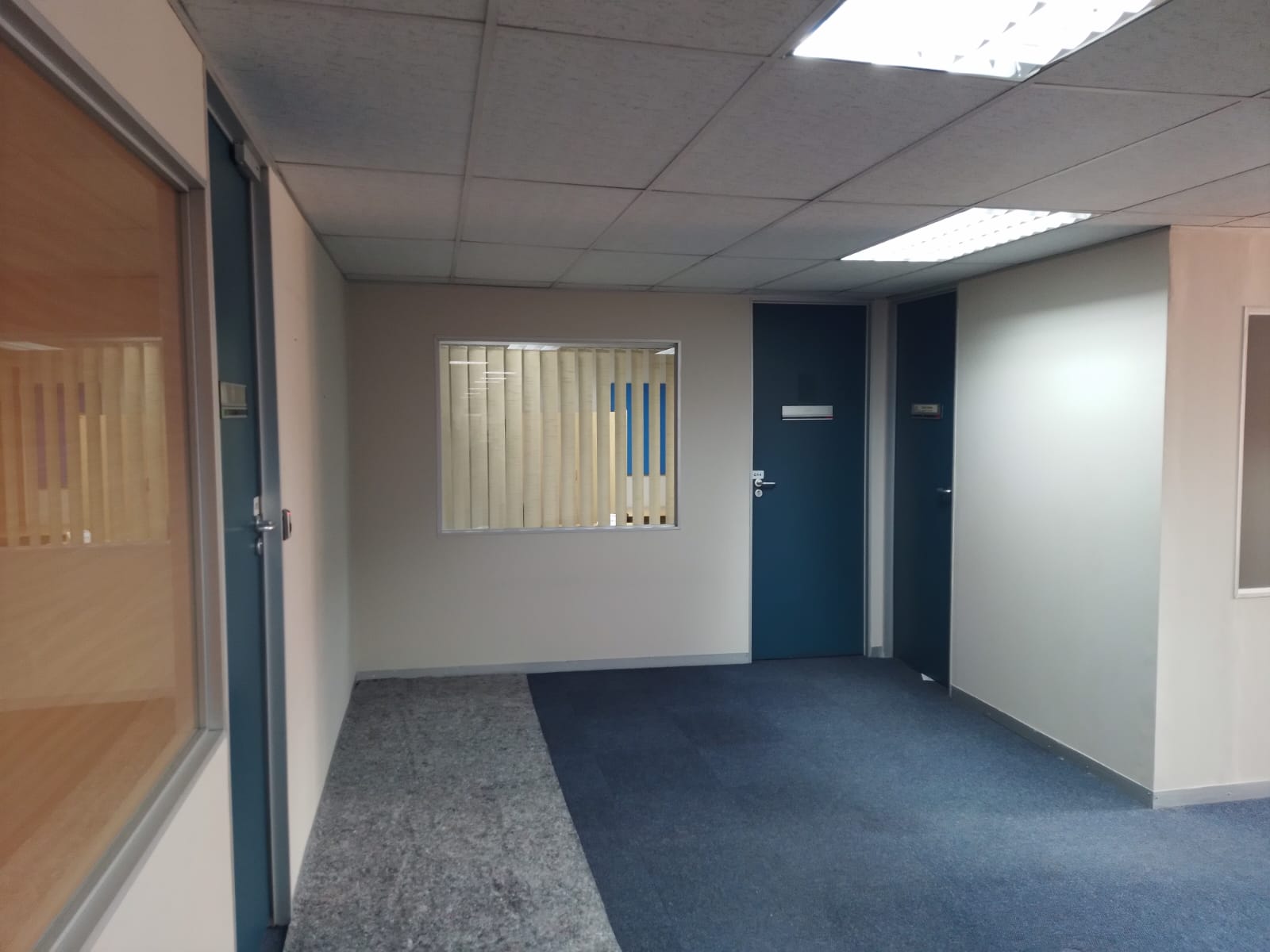 grey carpeted office painted white with blue door